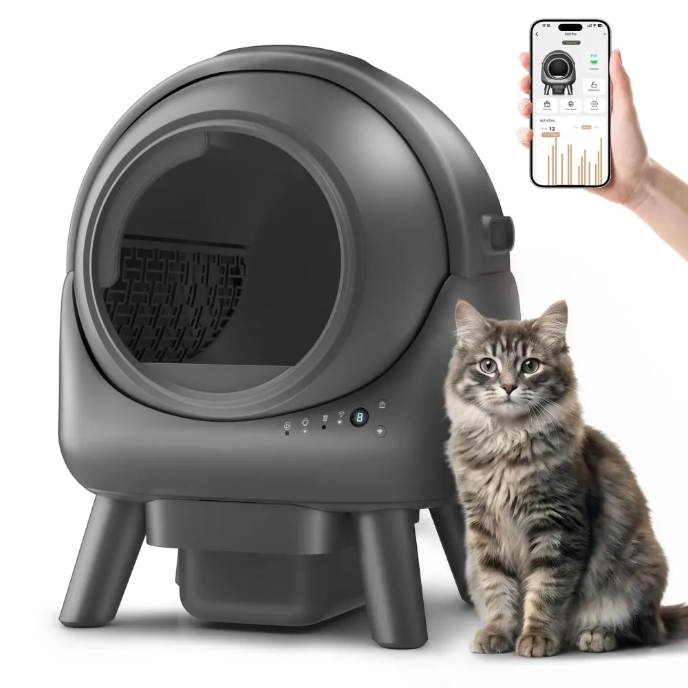 Cat Litter gray