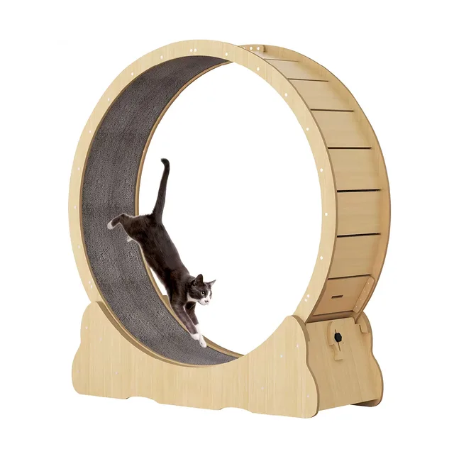 Exercise Wheel 36 in 36" 30.03 lb