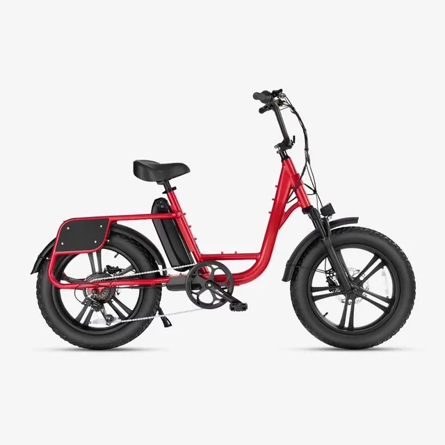 Electric Bike 20" 750w 48v