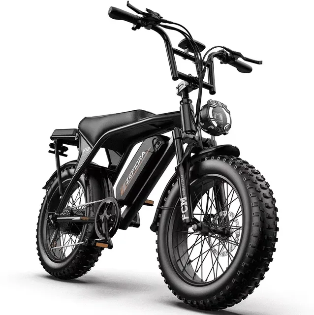 Electric Bike 20" 740w 48v