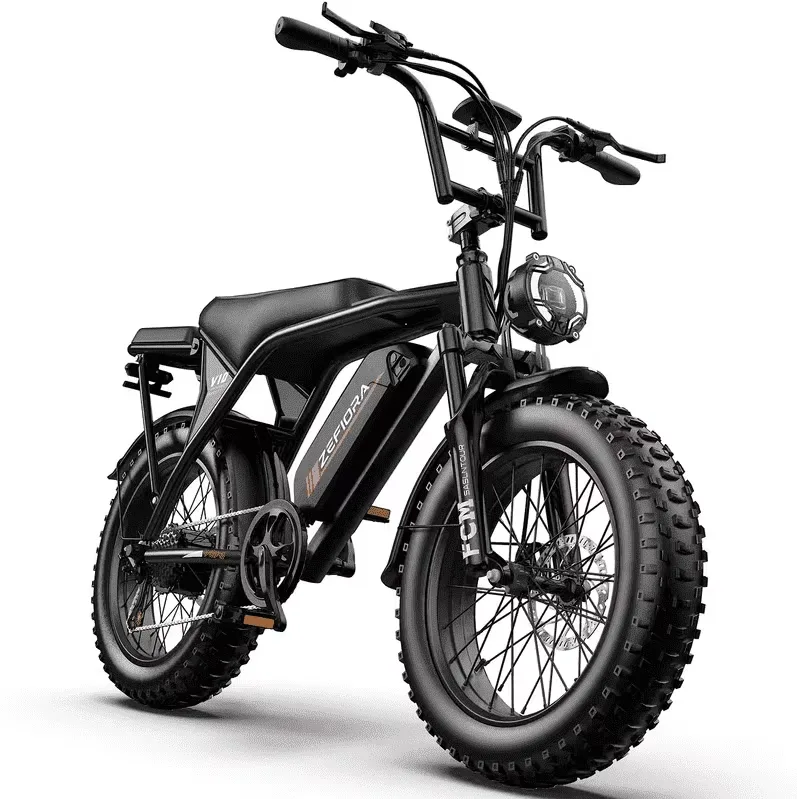 Electric Bike 20" 740w 48v