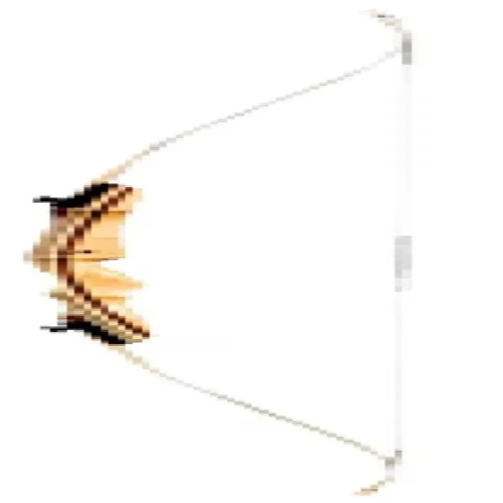 Bows & Arrows 62" 20 lbs 5'