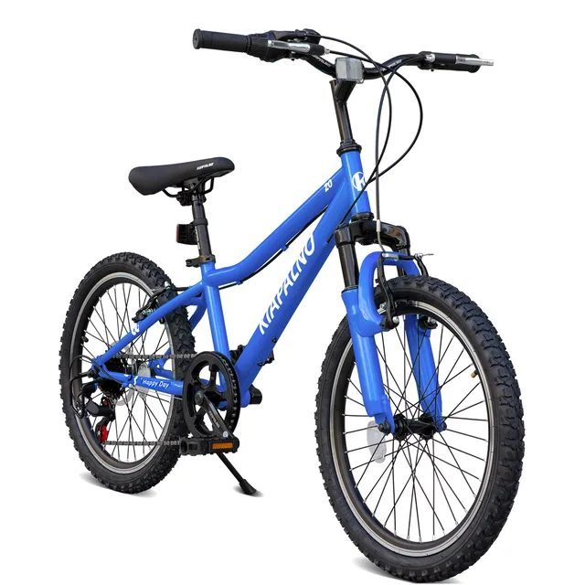 Mountain Bike adjustable blue 20"