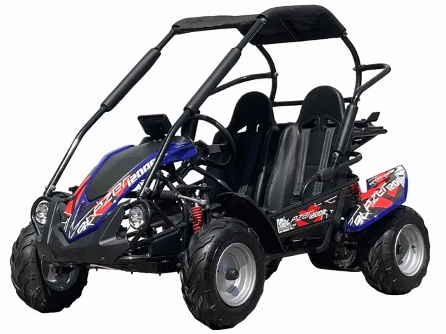 Battery 48v blue 60v
