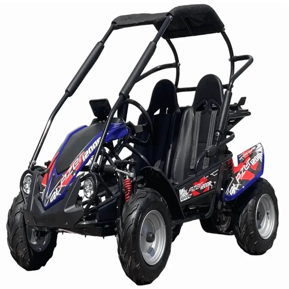 Battery 48v blue 60v