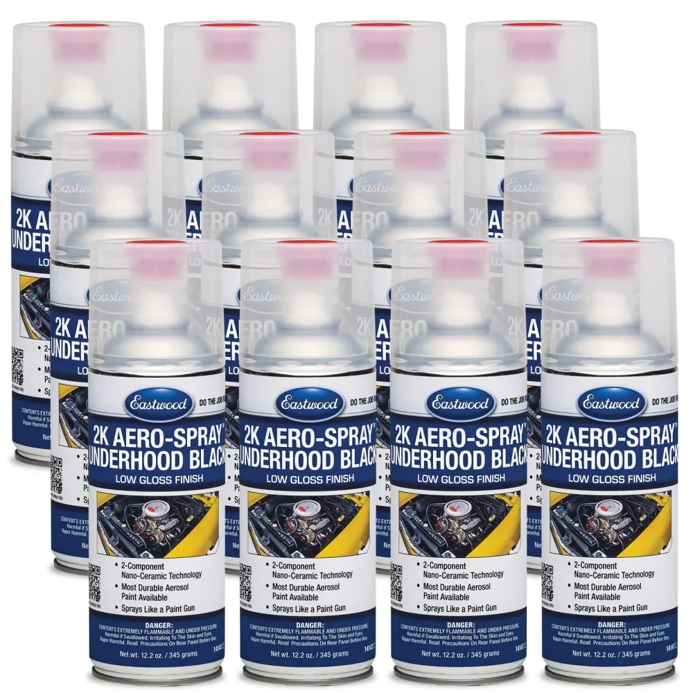 Spray Paint 12 pack black 12 ounces