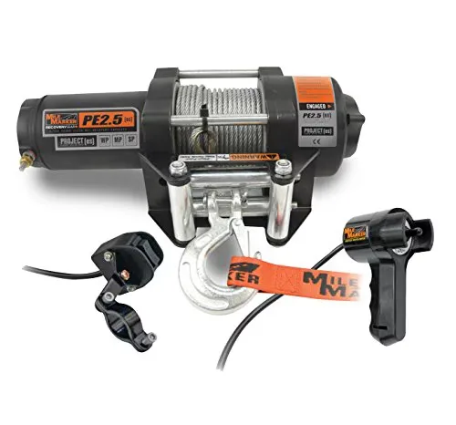 Electric Winch 500 lb 12 ft waterproof