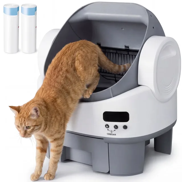 Cat Litter