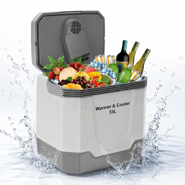 Portable Cooler 12v locking
