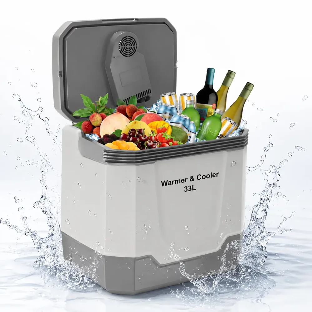 Portable Cooler 12v locking