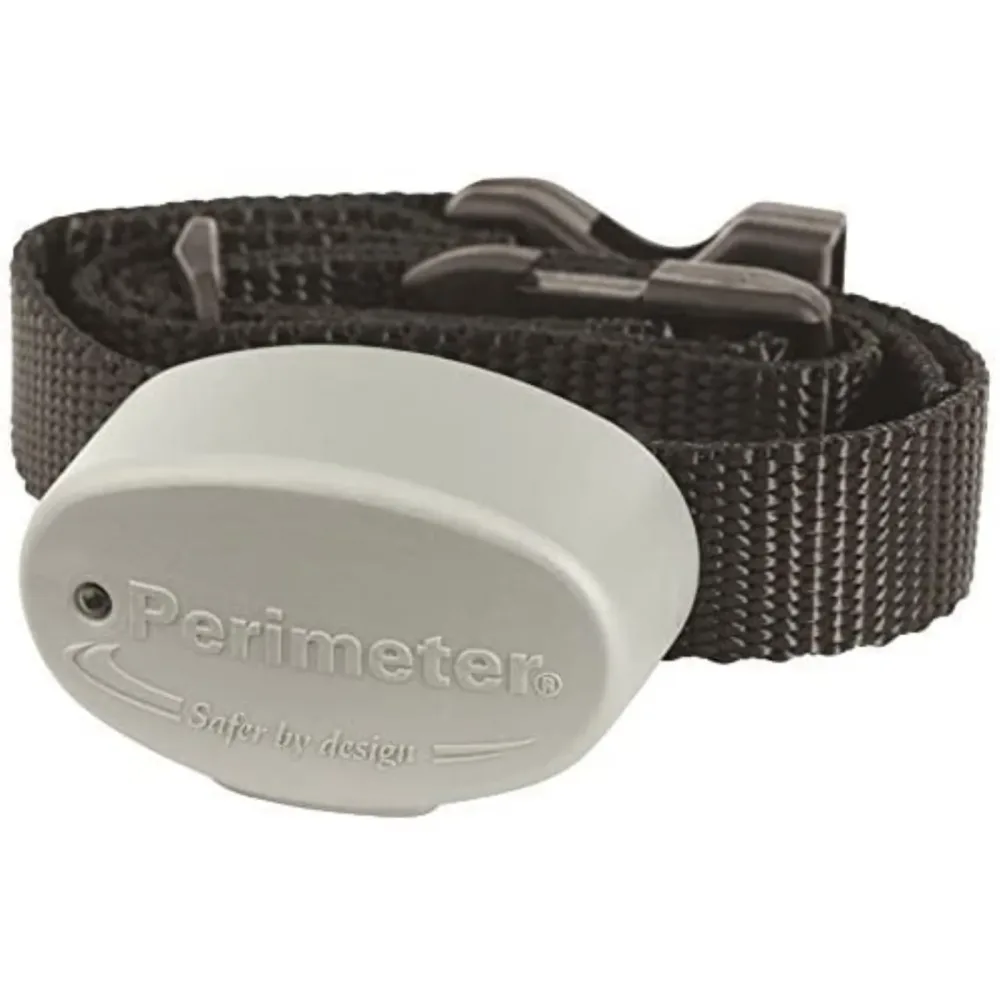 Dog Collar black 2" 1.25"