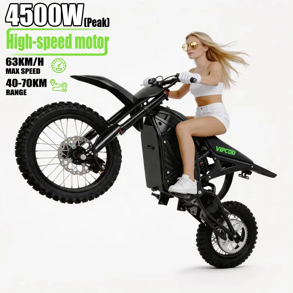 Dirt Bike 4500w 48v black