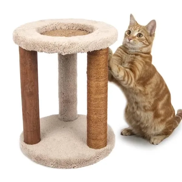 Furniture & Enrichment