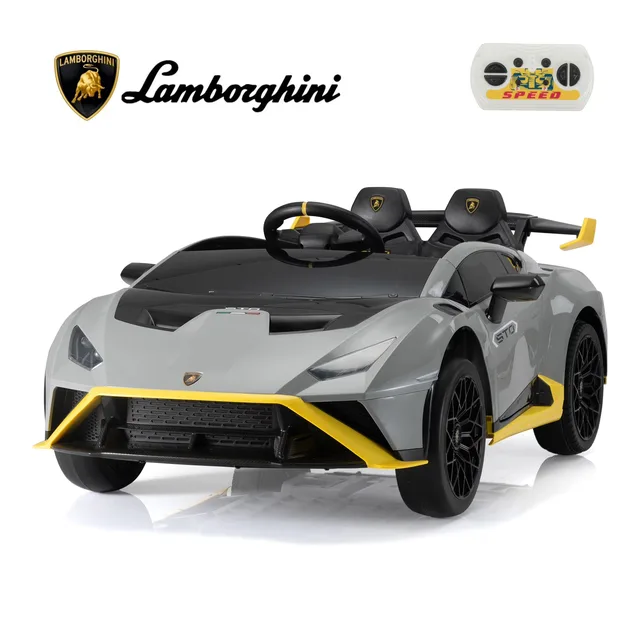 Remote Control 24v grey 66 lbs