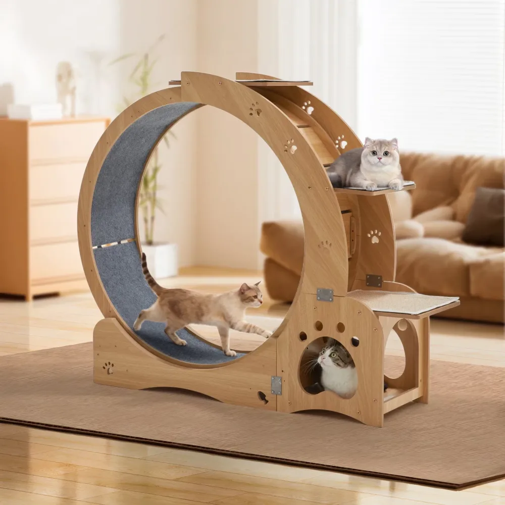 Cat Treadmill 43.7" 12.5" 45.5 lb