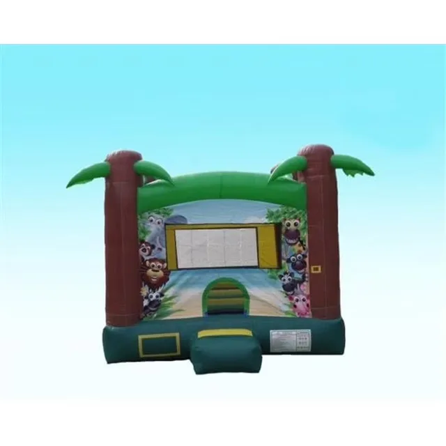 Backyard Play 13 ft