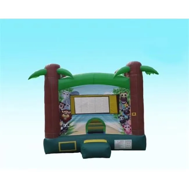 Backyard Play 13 ft