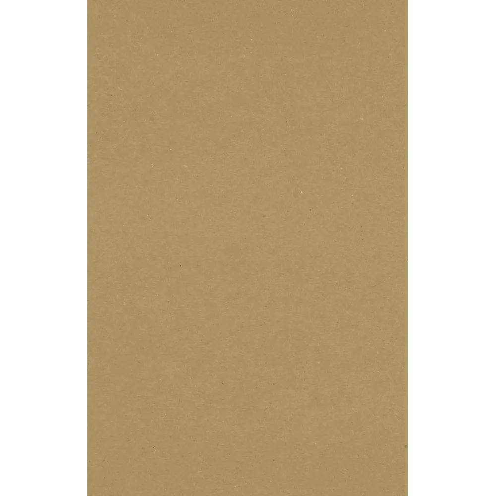 Paper 100lb