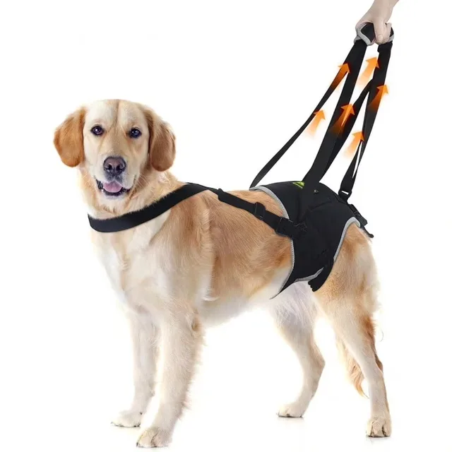 Collars & Travel adjustable