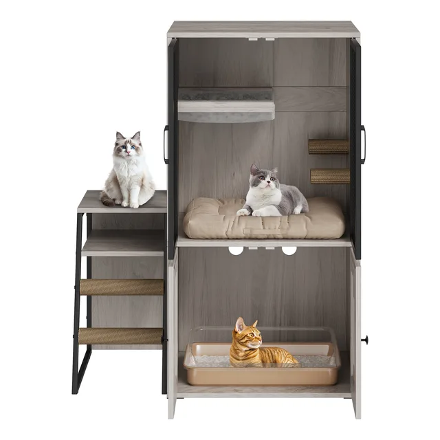 Box Furniture 2 in