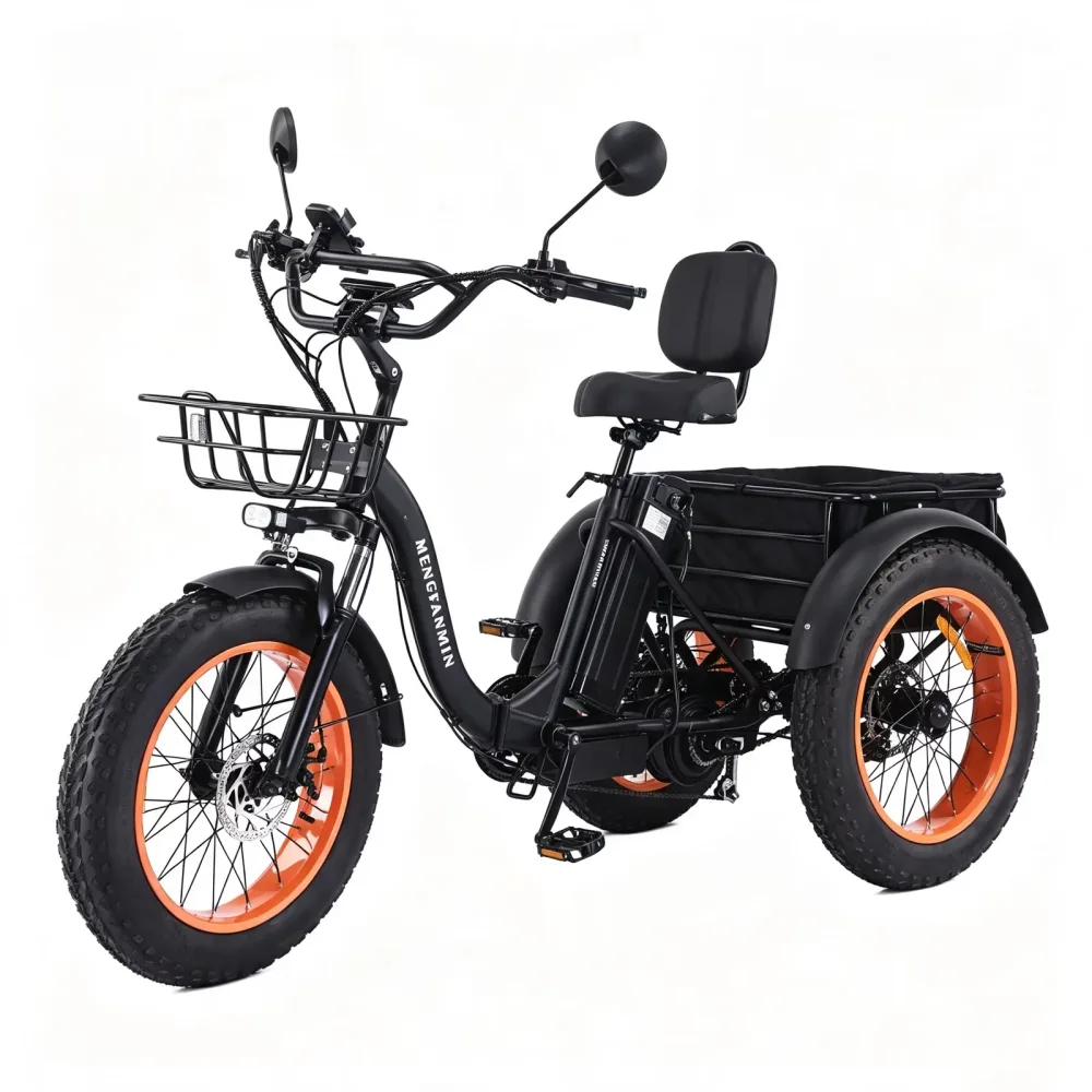 Electric Bike folding 750w 350 pounds