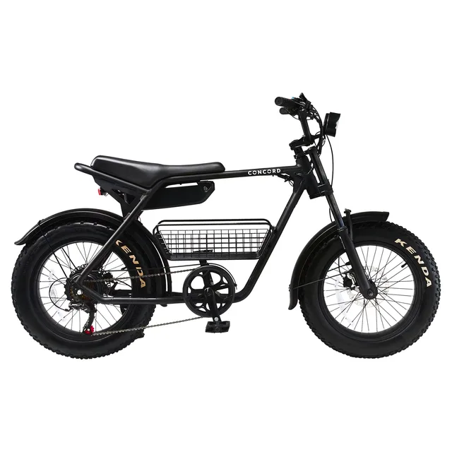 Electric 20 in 48v 5 ft