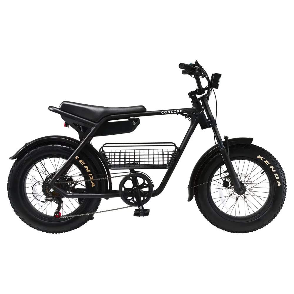 Electric 20 in 48v 5 ft