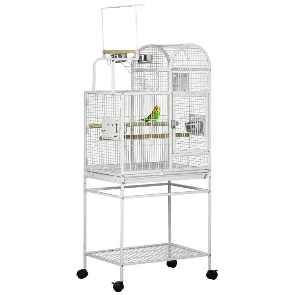 Cage Bird 64" white 24"