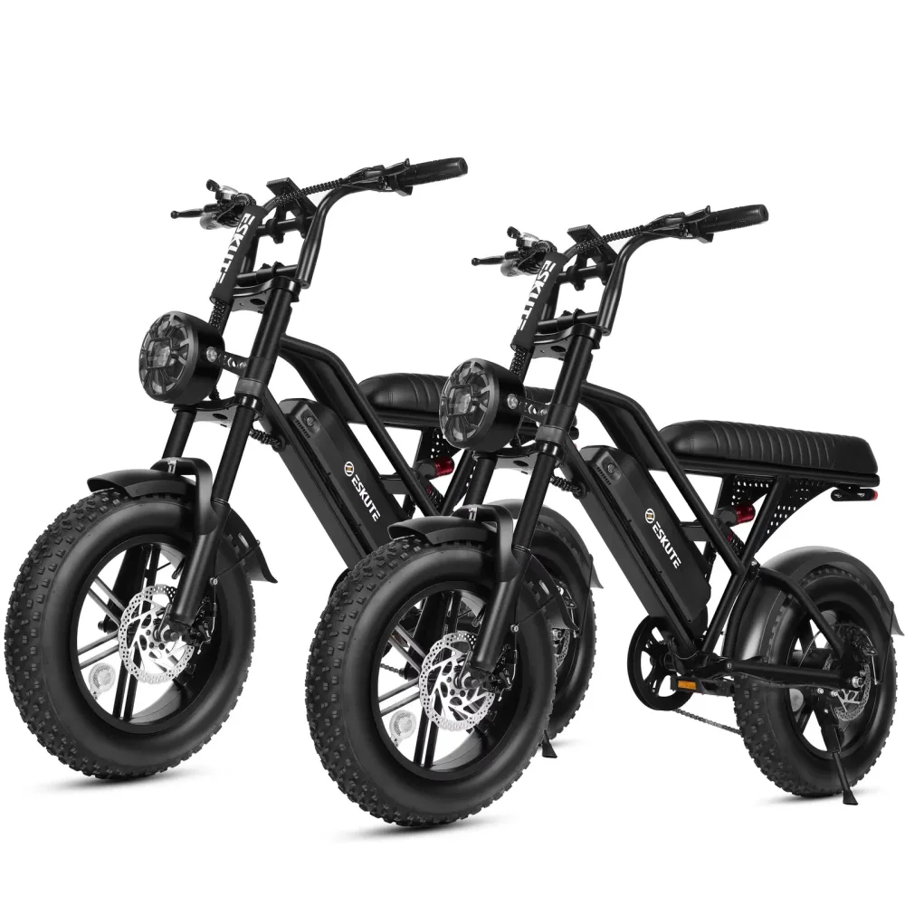 Electric Bikes 750w 48v 16"