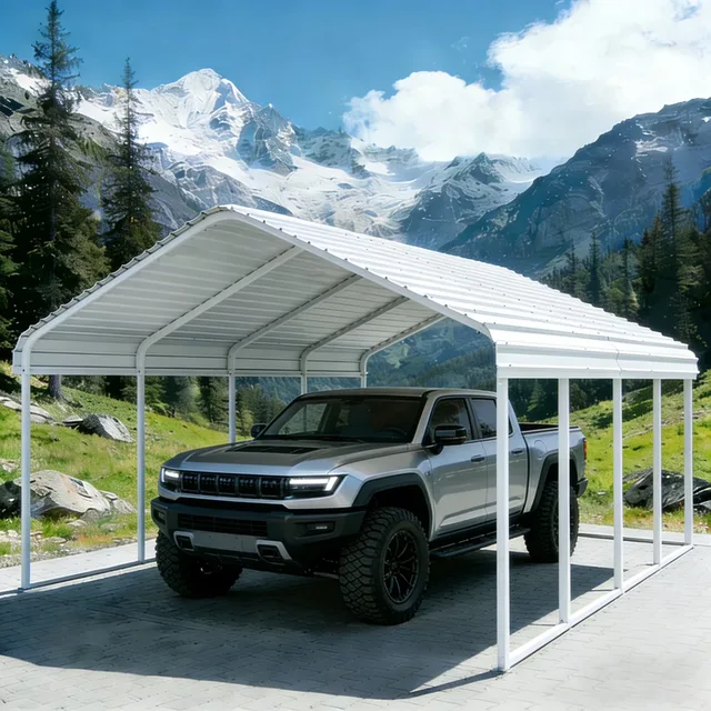 Carport Canopy 10' 20' heavy-duty