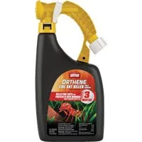 Ant Killer