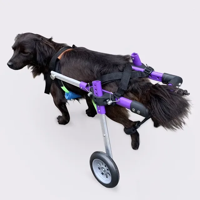 Health & Grooming adjustable