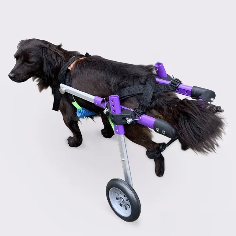Health & Grooming adjustable