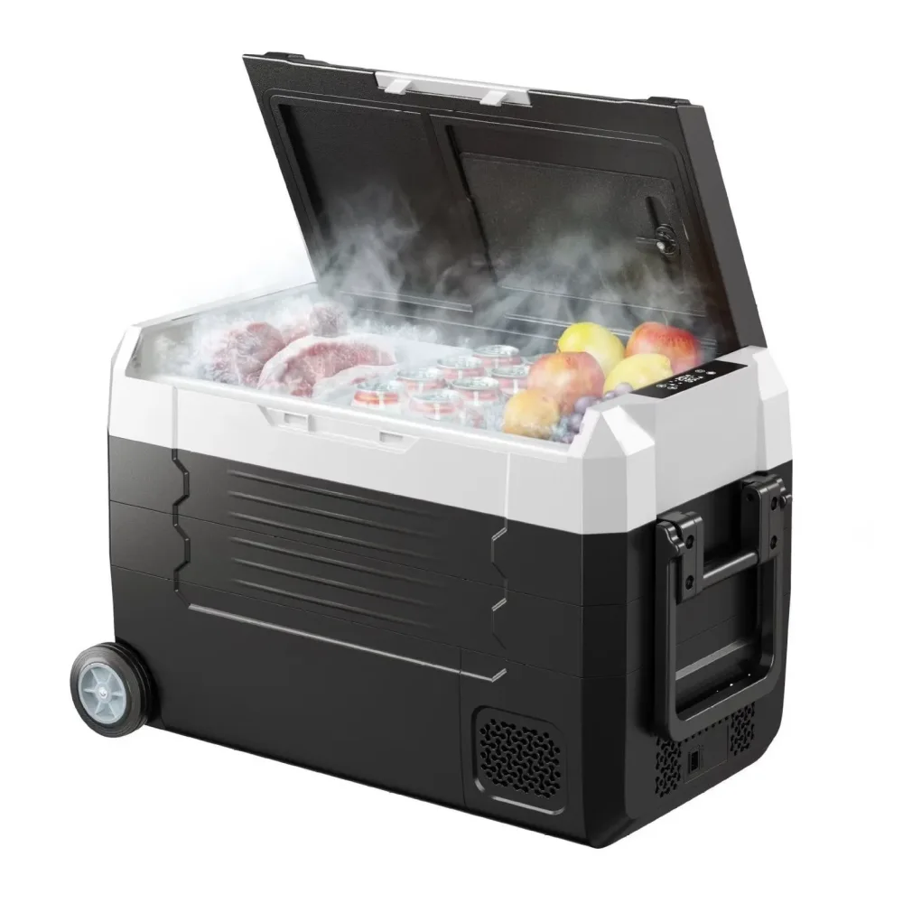 Electric Cooler 24v 240v 110-240v