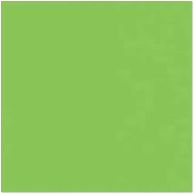 Paper Products 100lb 12 in 12"