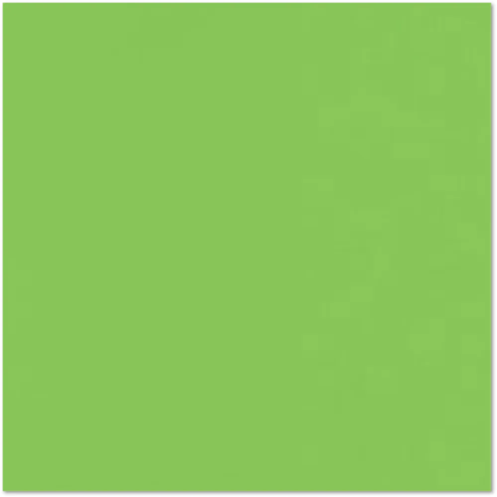 Paper Products 100lb 12 in 12"