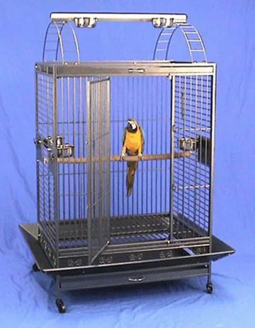 Parrot Bird 40" 30" 71"