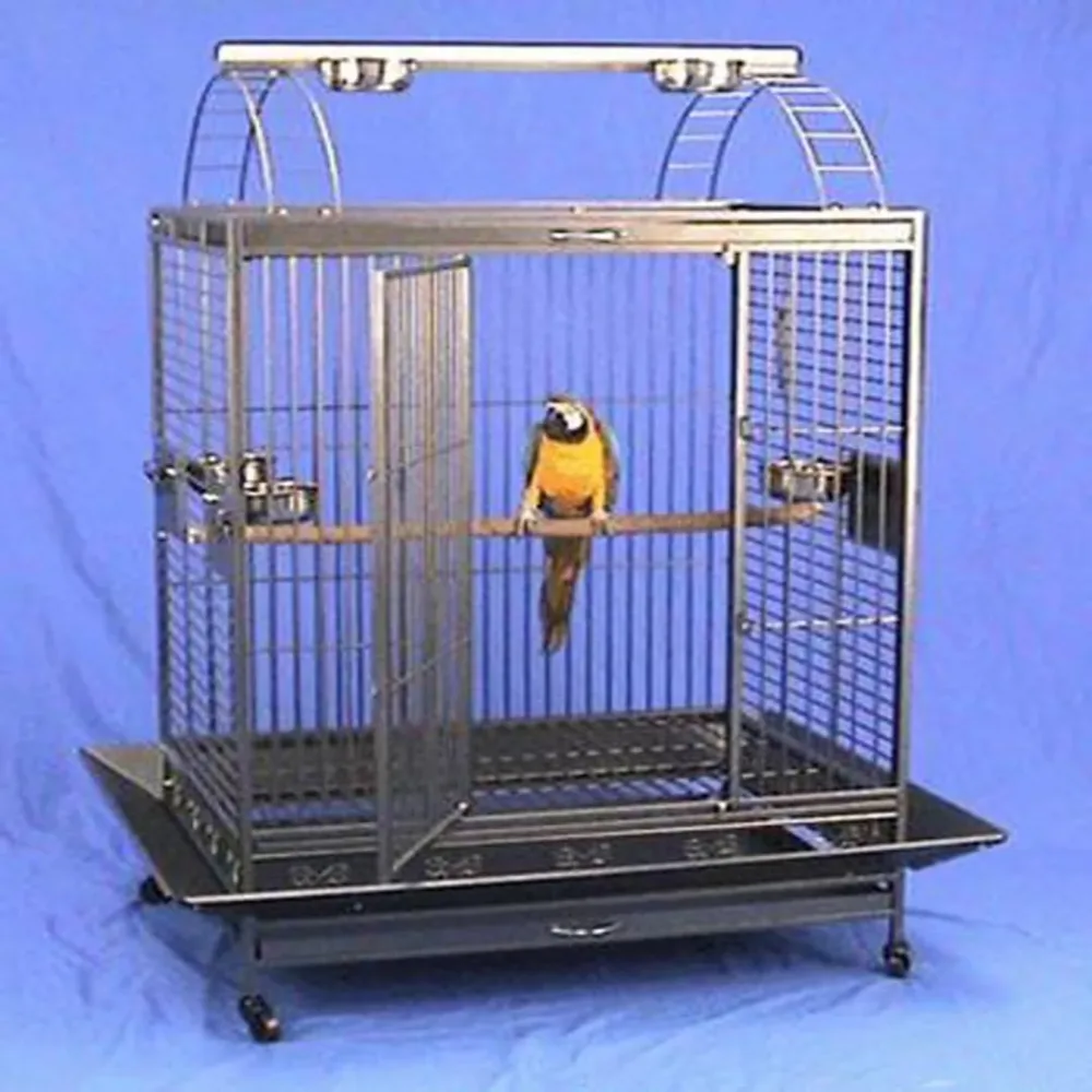 Parrot Bird 40" 30" 71"