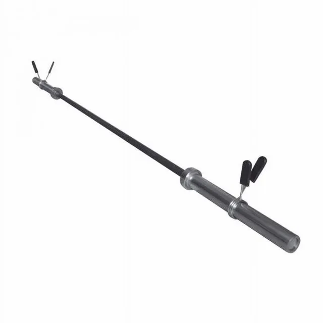 Strength Equipment 45lb 2.5 w 45 lbs