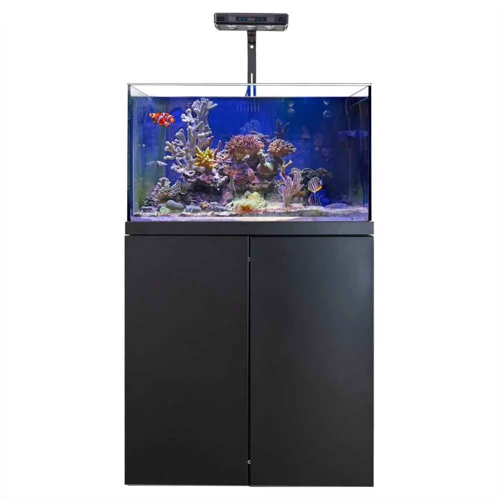 Fish Tank 90 gallon black 25 gallons