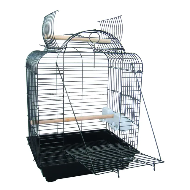 Parrot Bird 4" 20" 16"