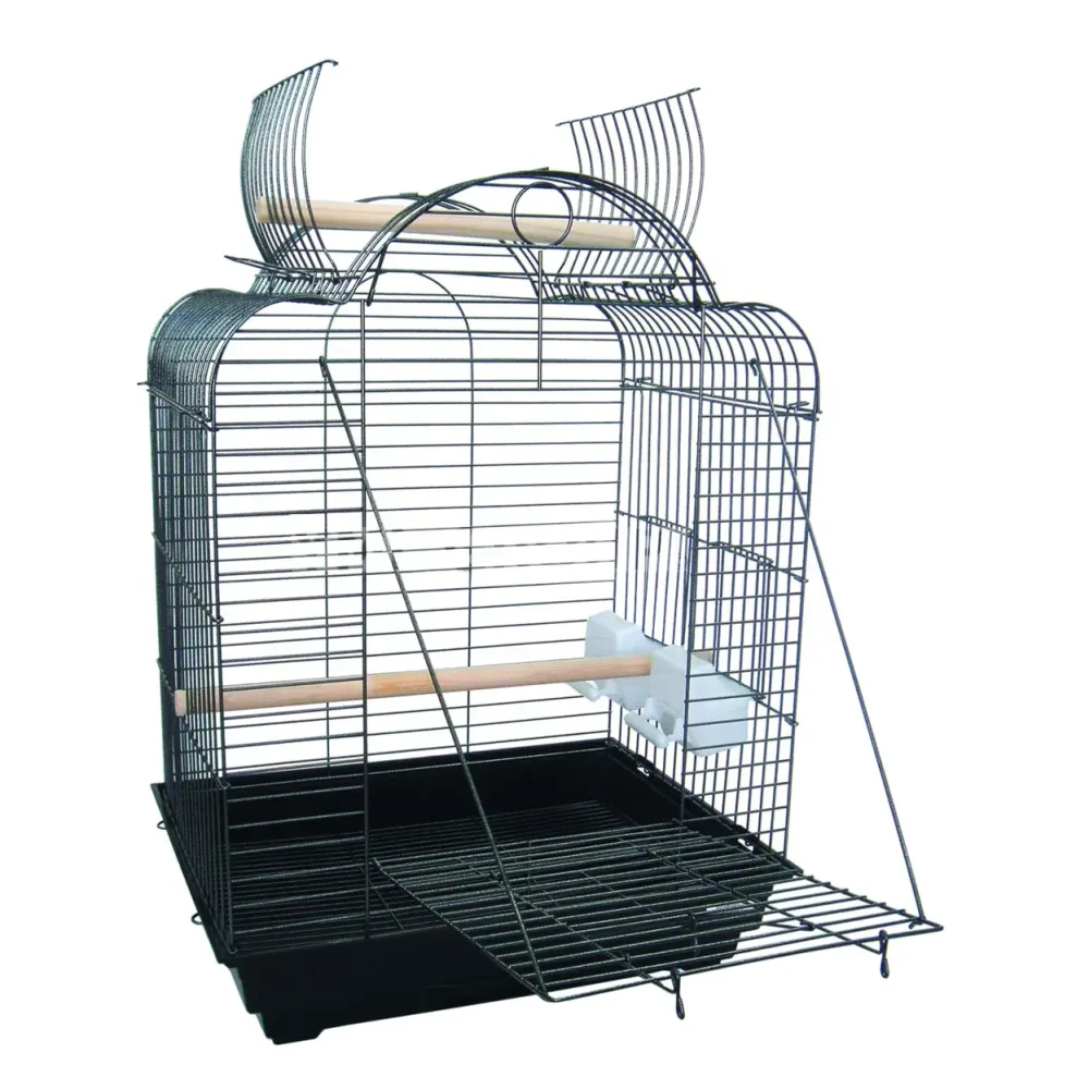 Parrot Bird 4" 20" 16"