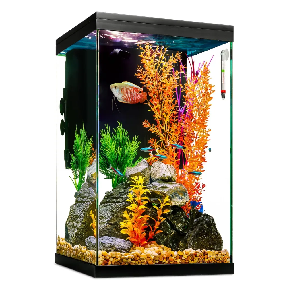 Tanks & Equipment 12 gallons