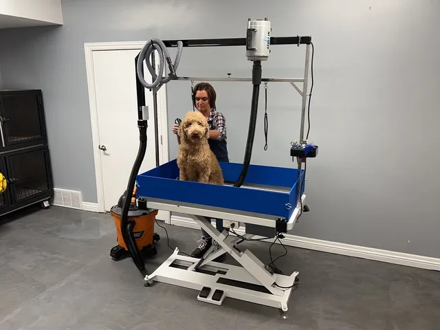 Grooming Table 300 pounds 10 inches 300lbs