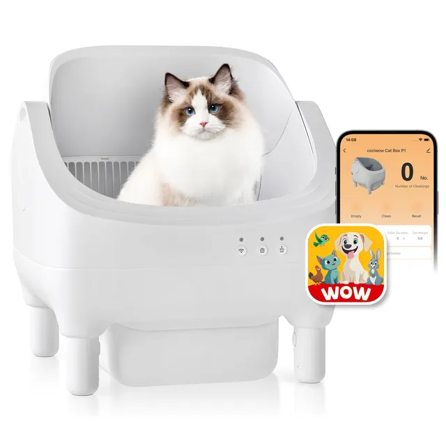Cat Litter