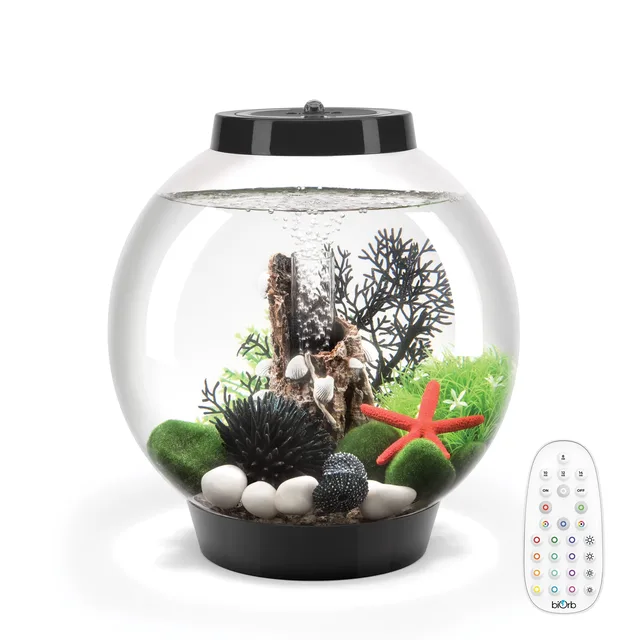 Light 4 gallon black 12.5 in