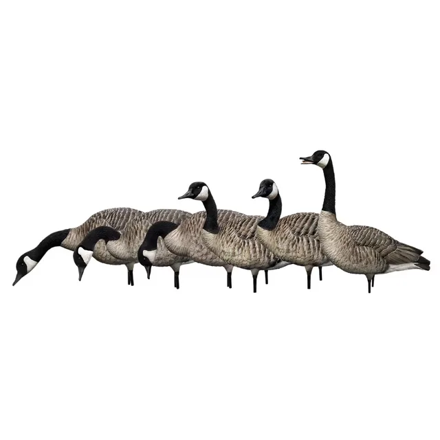 Hunting Gear 6 pack 19.00 in
