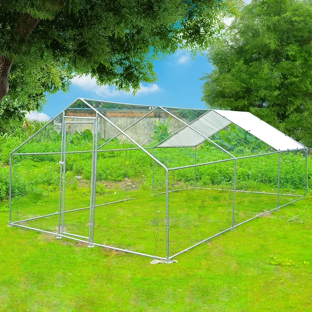 Chicken Coop 20ft 6.56 ft 1.37 inch