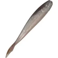 Fishing Lure