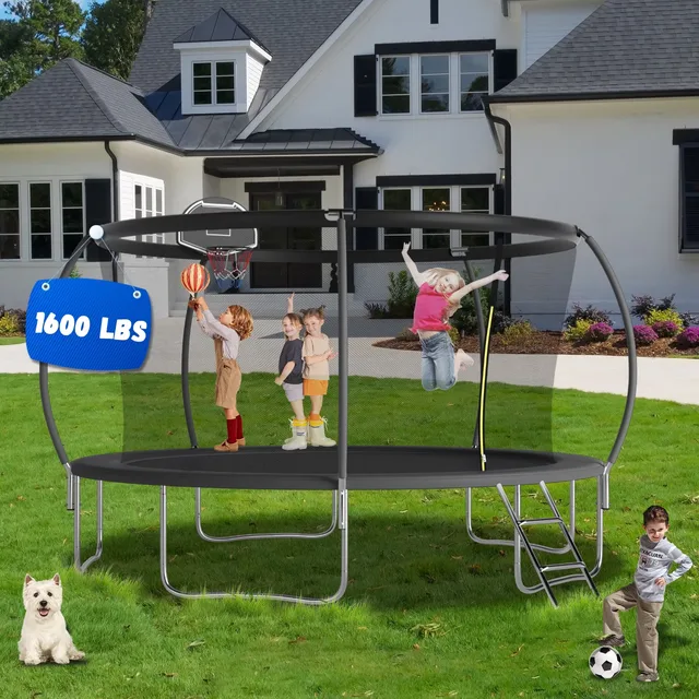 Backyard Play 1600lbs 14ft black